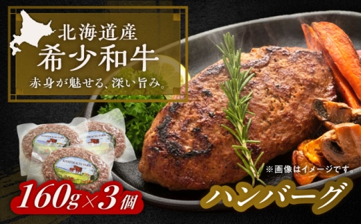 北海道 北十勝 短角牛 ハンバーグ 160g×3個《足寄町》【北十勝ファーム】肉 ハンバーグ 牛肉 赤身 和牛 160g ギフト 十勝 北海道産 道産 あしょろ 年内発送 年内配送 北海道 年内発送 年内配送