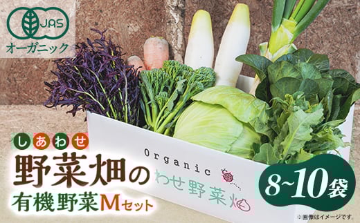 しあわせ野菜畑の有機野菜 Mセット (安心の有機JAS認証 旬のオーガニック野菜 農場直送便)【1493464】静岡県掛川市17000野菜・きのこその他 野菜