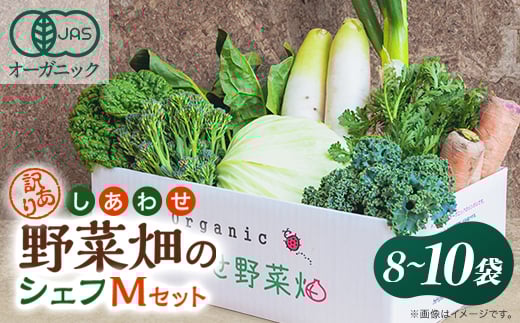 しあわせ野菜畑のシェフMセット (訳あり規格外の有機野菜を一部使用)【1493512】静岡県掛川市17000野菜・きのこ玉ねぎ・ねぎ