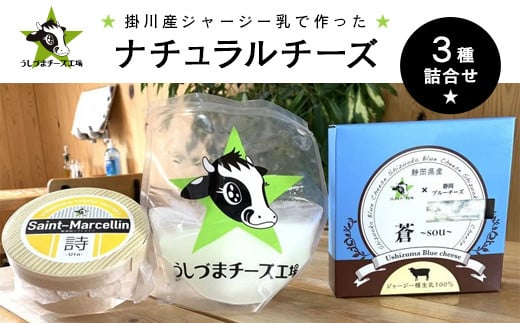 うしづまチーズ工場 ナチュラルチーズ3種セット【1601780】静岡県掛川市12000卵・乳製品チーズ