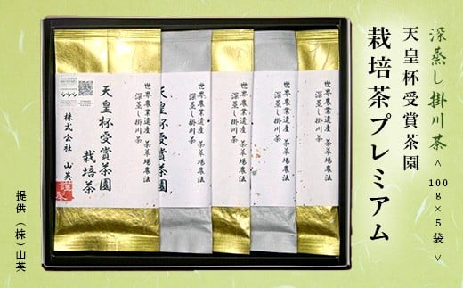 天皇杯受賞茶園栽培のプレミアム茶100g×5袋【1551501】静岡県掛川市24000お茶・飲料お茶