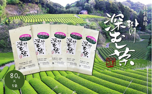 特別栽培-掛川深蒸し茶 80g×5袋セット【1599996】静岡県掛川市10000お茶・飲料お茶