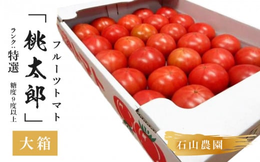 Ig}g ڂɓoꂵg}guYv唠 28ʁ`42ʁ@N:I@x9xȏy1604235zÉ|s30000؁Êg}g