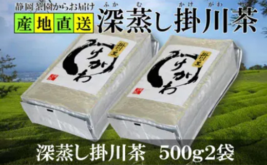 深蒸し掛川茶(掛川の里)500g2袋 静岡県掛川産二番茶100% たくさんお茶を飲む方におすすめ【1294055】静岡県掛川市10000お茶・飲料お茶