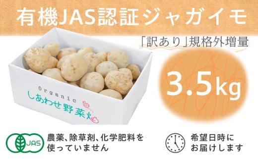 <フードロス対応・規格外>有機ジャガイモ 3kg 訳あり    季節限定(12〜3月発送)【1568581】静岡県掛川市10000野菜・きのこじゃがいも・イモ類