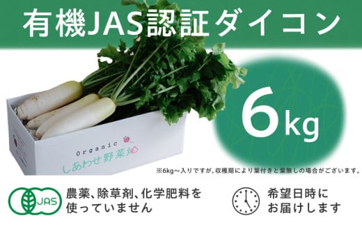 L@卪@L@JASF؁@ϕ₨łɍœK@~̖o(12`3)y1568580zÉ|s12000؁Ê卪EjWEؗ