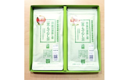 [|쒃uLĂȂv100g×2܁@É̒_@@|ŝy1091588zÉ|s10000E