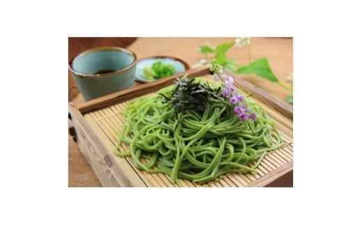 掛川そねの生茶そば(つゆ付き)220g (約2人前)×4袋セット【1119888】静岡県掛川市17000麺そば