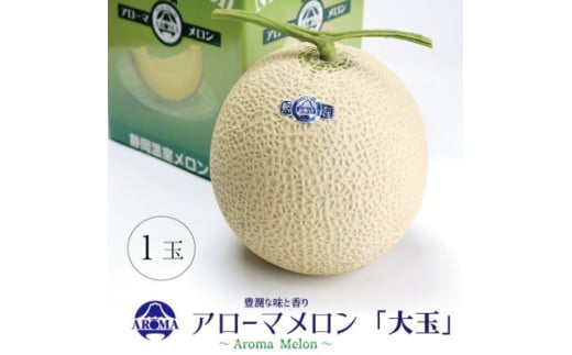 <通年出荷>アローマメロン 白等級(大玉) 1玉入【1170110】静岡県掛川市23000果物・フルーツメロン・スイカ