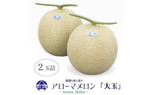 <通年出荷>アローマメロン 白等級(大玉) 2玉入【1170111】静岡県掛川市44000果物・フルーツメロン・スイカ