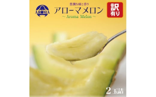 <訳あり>アローマメロン 2玉入<通年出荷>【1170118】静岡県掛川市24000果物・フルーツメロン・スイカ