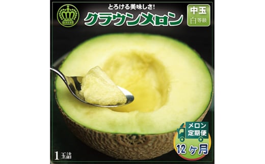 <毎月定期便>クラウンメロン(白等級) 中玉1玉 全12回【4012656】静岡県掛川市236000果物・フルーツメロン・スイカ