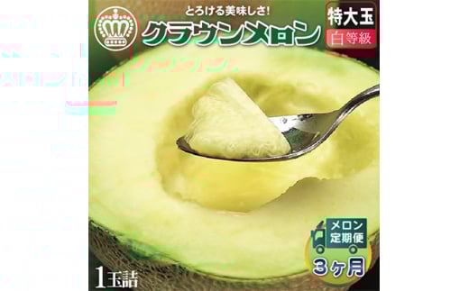 <毎月定期便>クラウンメロン(白等級) 特大玉 1玉 全3回【4012657】静岡県掛川市68000果物・フルーツメロン・スイカ