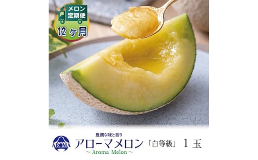 <毎月定期便>アローマメロン(白等級) 1玉 全12回【4013003】静岡県掛川市152000果物・フルーツメロン・スイカ