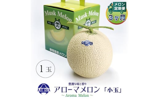 <毎月定期便>アローマメロン(小玉) 1玉 全3回【4013007】静岡県掛川市35000果物・フルーツメロン・スイカ