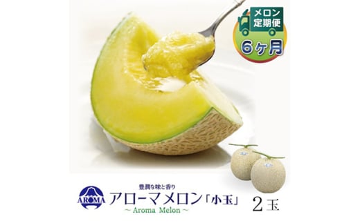 <毎月定期便>アローマメロン(小玉) 2玉 全6回【4013011】静岡県掛川市136000果物・フルーツメロン・スイカ