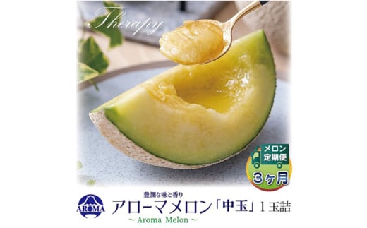 <毎月定期便>アローマメロン白等級(中玉) 1玉 全3回【4013016】静岡県掛川市56000果物・フルーツメロン・スイカ