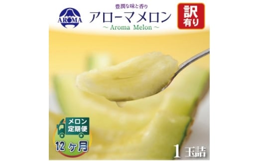 <毎月定期便><訳あり>アローマメロン 1玉 全12回【4013172】静岡県掛川市151000果物・フルーツメロン・スイカ