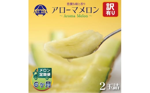 <毎月定期便><訳あり>アローマメロン 2玉 全6回【4013174】静岡県掛川市142000果物・フルーツメロン・スイカ