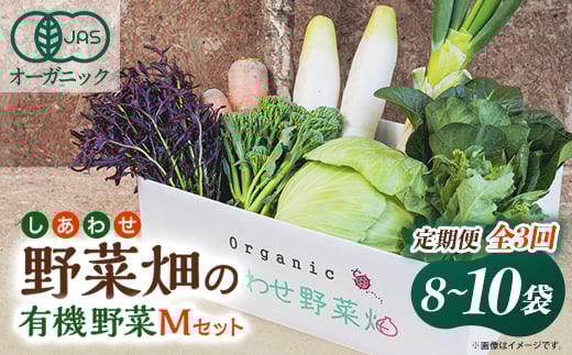 <毎月定期便>しあわせ野菜畑の有機野菜 Mセット (安心の有機JAS認証 オーガニック野菜)全3回【4066008】静岡県掛川市51000野菜・きのこその他 野菜