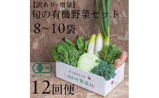 <毎月定期便>しあわせ野菜畑のシェフMセット (訳あり規格外の有機野菜を一部使用)全12回【4066015】静岡県掛川市204000野菜・きのこその他 野菜