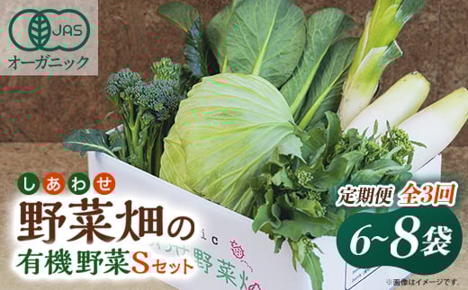 <毎月定期便>しあわせ野菜畑の有機野菜 Sセット (安心の有機JAS認証 オーガニック野菜)全3回【4066005】静岡県掛川市42000野菜・きのこその他 野菜