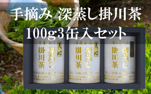 E [|쒃 VS 100g×3ʃZbg _ Β t  |쒃 E [ [   { 100g×3 ÉY É |s  Mtg   v[