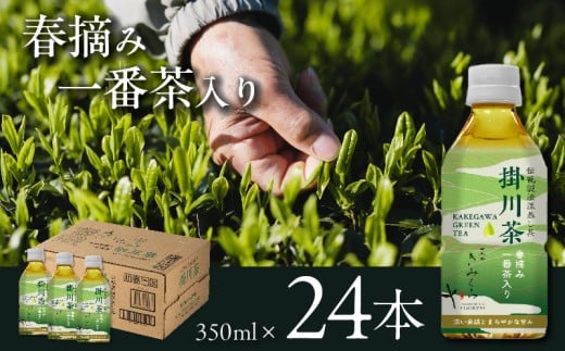 |쒃 ybg{g350ml×24{``@[`{݂灃39528y1637482zÉ|s19000E