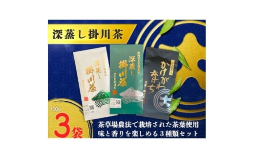 [|쒃OZbg@100g×3(Mtg)y1652728zÉ|s10000E