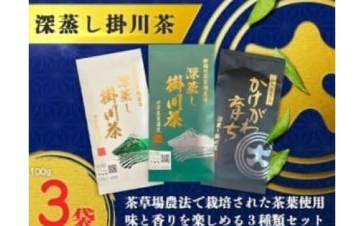 [|쒃OZbg@100g×3(Mtg)y1652728zÉ|s10000E