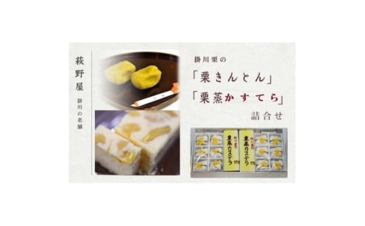萩野屋 掛川栗の 栗きんとん 6個×2包・ 栗蒸しカステラ × 2本詰合せ【1662801】静岡県掛川市19000菓子・スイーツその他 和菓子