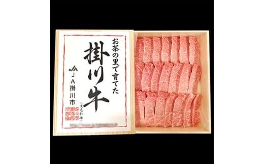 掛川牛(黒毛和種)カルビ焼肉用 500g(冷凍)【1670601】静岡県掛川市28000肉牛肉