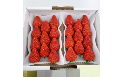 紅ほっぺセット(4パック)【1676900】静岡県掛川市12000果物・フルーツいちご