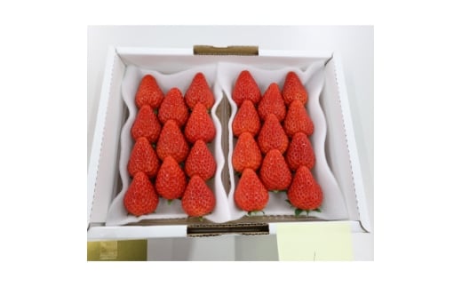 紅ほっぺ・きらぴ香食べ比べセット(各2パック 計4パック)【1676911】静岡県掛川市13000果物・フルーツいちご