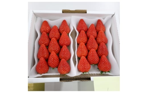 紅ほっぺセット(6パック)【1676924】静岡県掛川市18000果物・フルーツいちご