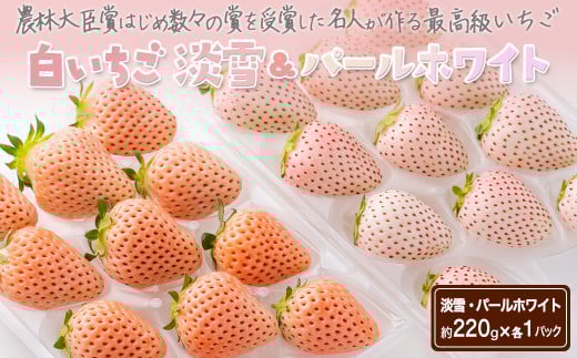 s\tEߘa8N1{ȍ~Wၕp[zCg440gmA0048-0004nꌧ20000ʕEt[c