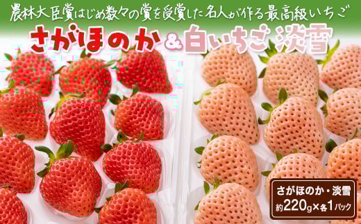 s\tEߘa8N1{ȍ~giWEق̂jZbg440gmA0048-0003nꌧ14000ʕEt[c