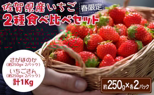 s\tEߘa8N3{ȍ~ꌧYQHה׃Zbg v1kgi250g×e2pbNjmA0176-0001nꌧ13000ʕEt[c