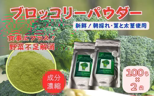 ubR[pE_[i100g×2܁jmA012605nꌧ13000ZbgE؁EHHȋ ZbgE؁EHHi