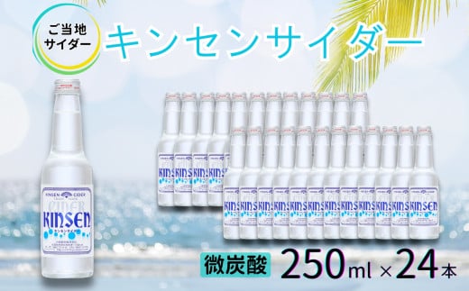 ynTC_[zLZTC_[250mlr×24{mA0182-0006nꌧ16000Ȇ E