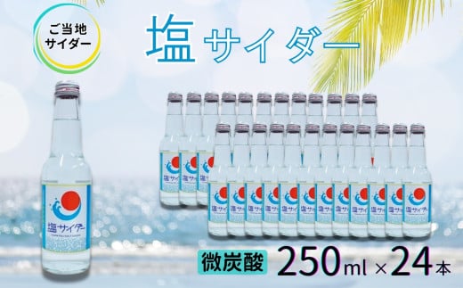 ynTC_[zTC_[250mlr×24{mA0182-0007nꌧ16000Ȇ E