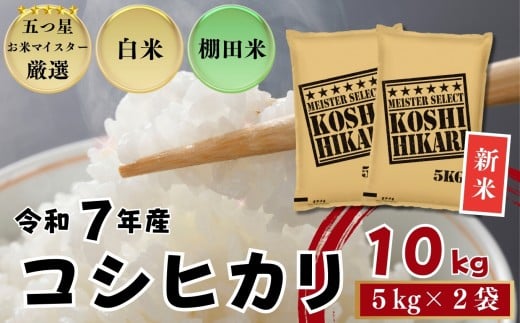 ߘaVNYVā⍲ꌧY RVqJ 10si5s×2܁j/ ˕čXmA0194-0020nꌧ28000āEp