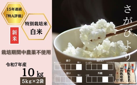 ߘa7NYV s\tEߘa7N11{ȍ~ꌧYʍ͔|Ăт 10si͔|Ԓ_sgpjmA0212-0002nꌧ44000āEp