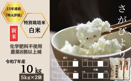 ߘa7NYV s\tEߘa7N11{ȍ~ꌧYʍ͔|Ăт 10siw엿sgpE_8ȏ㌸jmA0212-0004nꌧ35000āEp