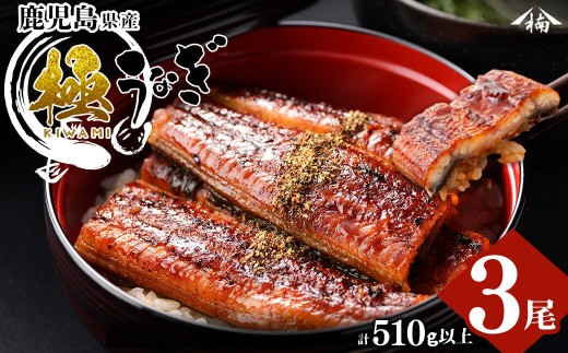 楠田の極うなぎ蒲焼き 170g以上×3尾(計510g以上) b2-010鹿児島県志布志市22000魚介・海産物うなぎ