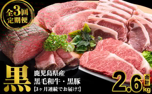 <定期便・全3回>鹿児島県産 黒毛和牛・黒豚を堪能できる定期便(合計2.6kg) t0072-002鹿児島県志布志市72000肉牛肉