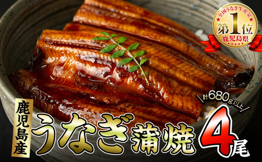 くすだ屋の極上うなぎ 4尾(170g×4)<計680g以上> c2-010鹿児島県志布志市32000魚介・海産物うなぎ