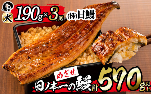 日ノ本一の鰻の蒲焼き<大>3尾セット(計570g以上) b8-022鹿児島県志布志市28000魚介・海産物うなぎ