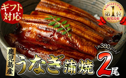 yMtgΉz̋ɏイȂ2(190g×2)v380gȏい a7-003uzus17000ECYȂ