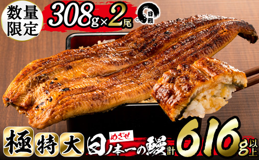日ノ本一の鰻の蒲焼き<極特大>2尾セット(計616g以上) b7-010鹿児島県志布志市27000魚介・海産物うなぎ